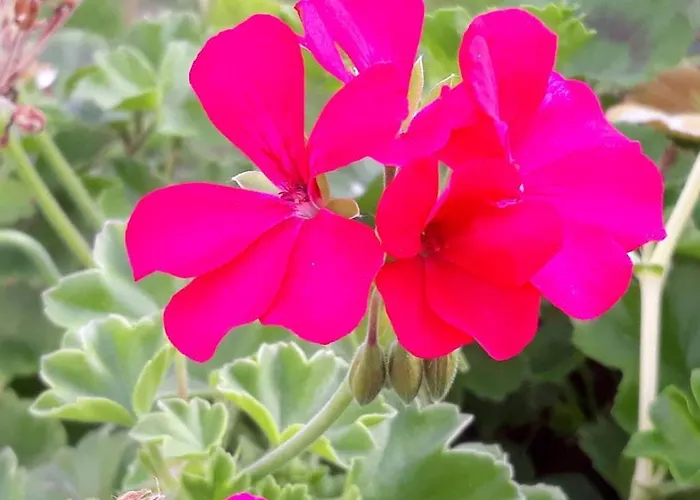 Couette-café La D'hôtes D'isa Moindron *