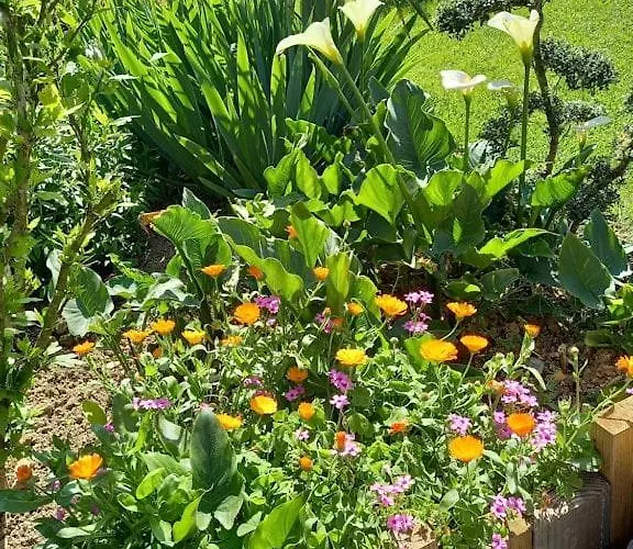 La D'hôtes D'isa Moindron *